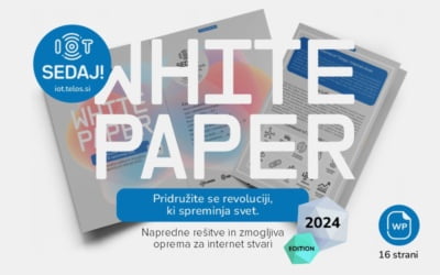 IoT Sedaj White Paper // 2024 Edition